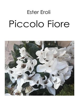 cover image of Piccolo Fiore